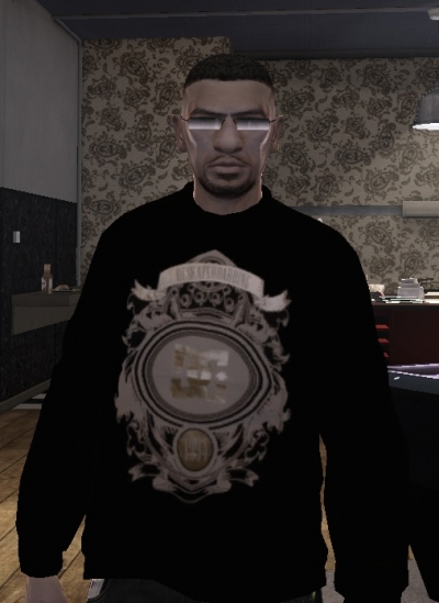 DC stakeboarding Sweater